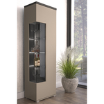 Opio_vitrine_1porte_3