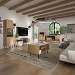 Rtl_Astra_bois_noir_salon_ambiance_1
