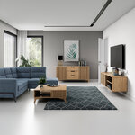 Entsian_0053_SF-ENT-A(C1)