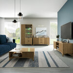 Entsian_0028_SF-ENT-A(C4)
