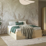 petits_meubles_Téana_lit_coffre_160x200_24LGON51_1