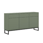 petits_meubles_LOA_vert_24G2OZ43_buffet_3_portes_1