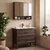petits-meubles_salle_de_bain_moka_marron_fonce_100cm_pack_miroir_encastree_ambiance