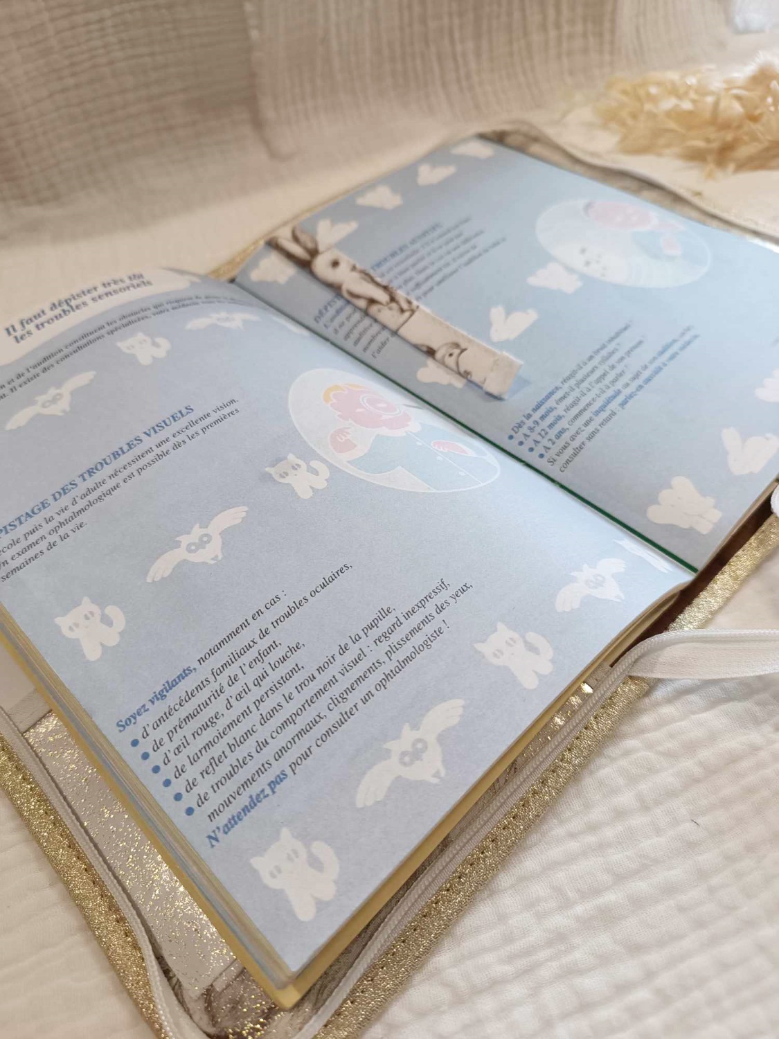 carnet de santé personnalisé renard foret