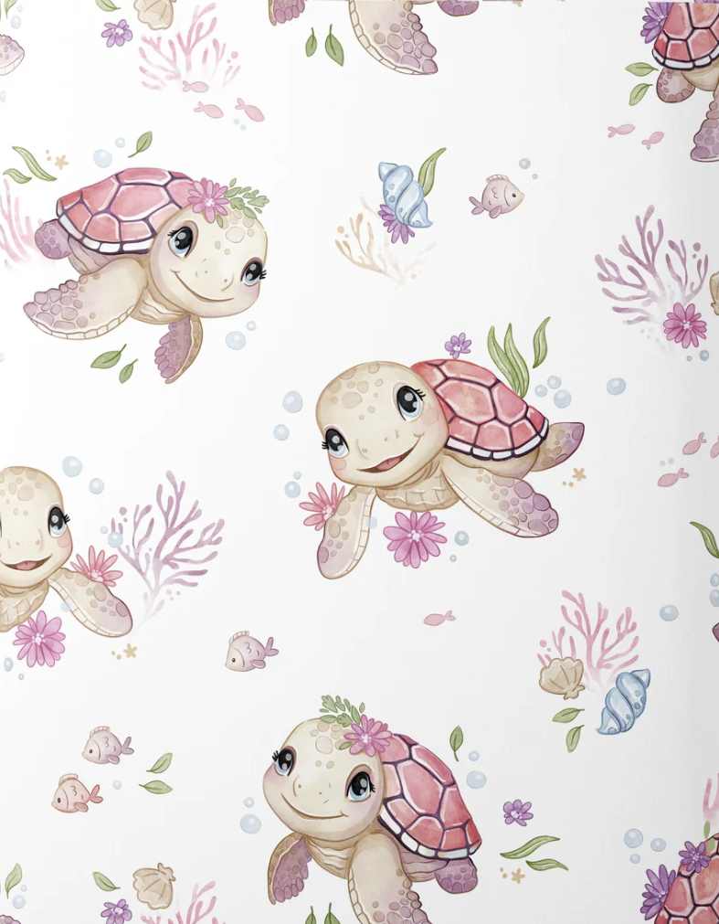tortue