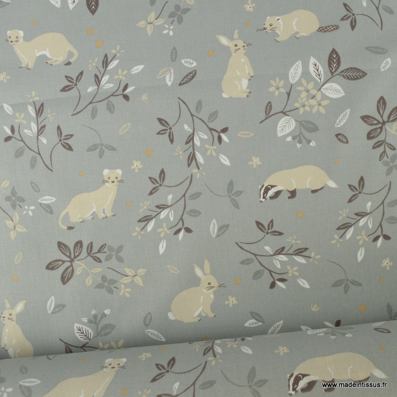 lapin blaireau