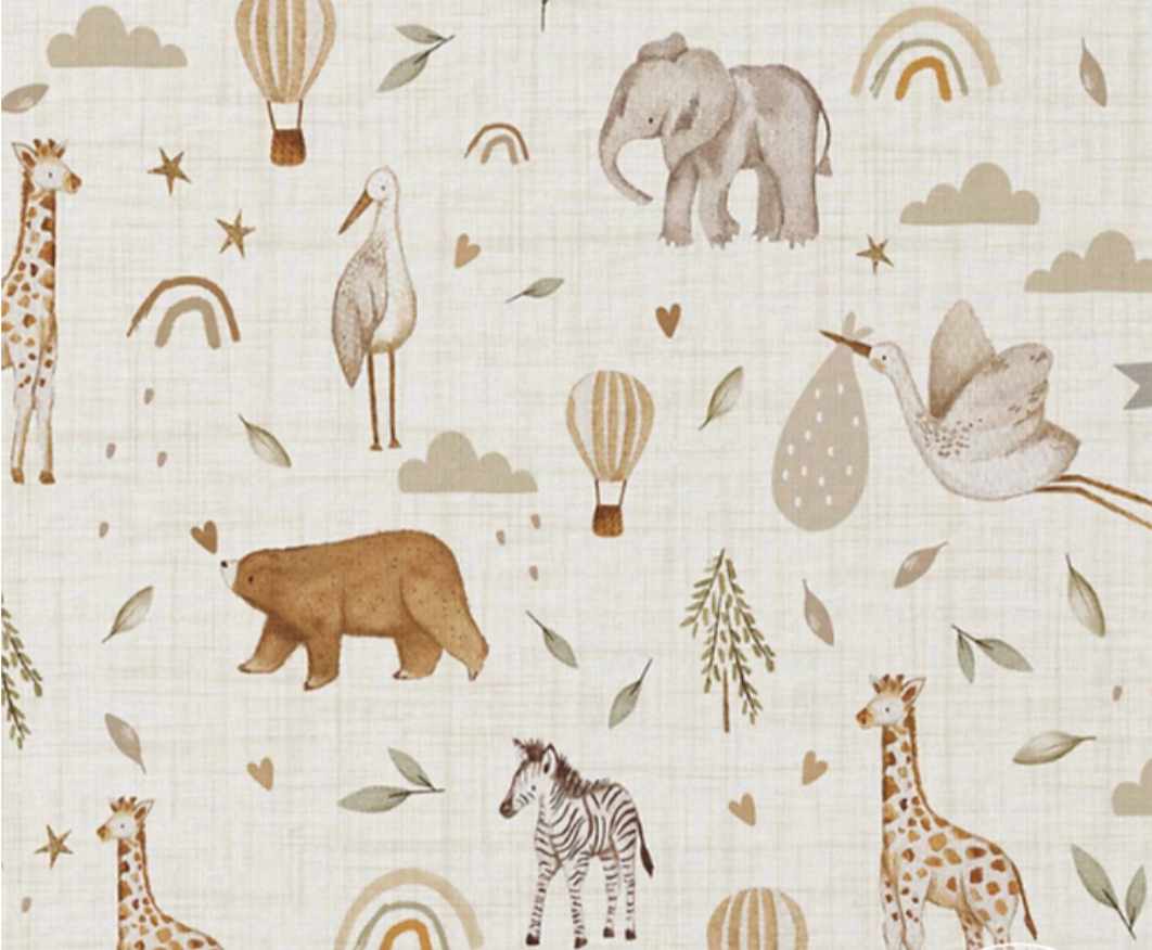 safari