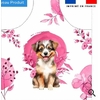 Chien