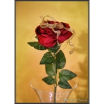 Eternelle Rose enchantée