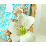 urne mariage coquillage dentelle turquoise blanc
