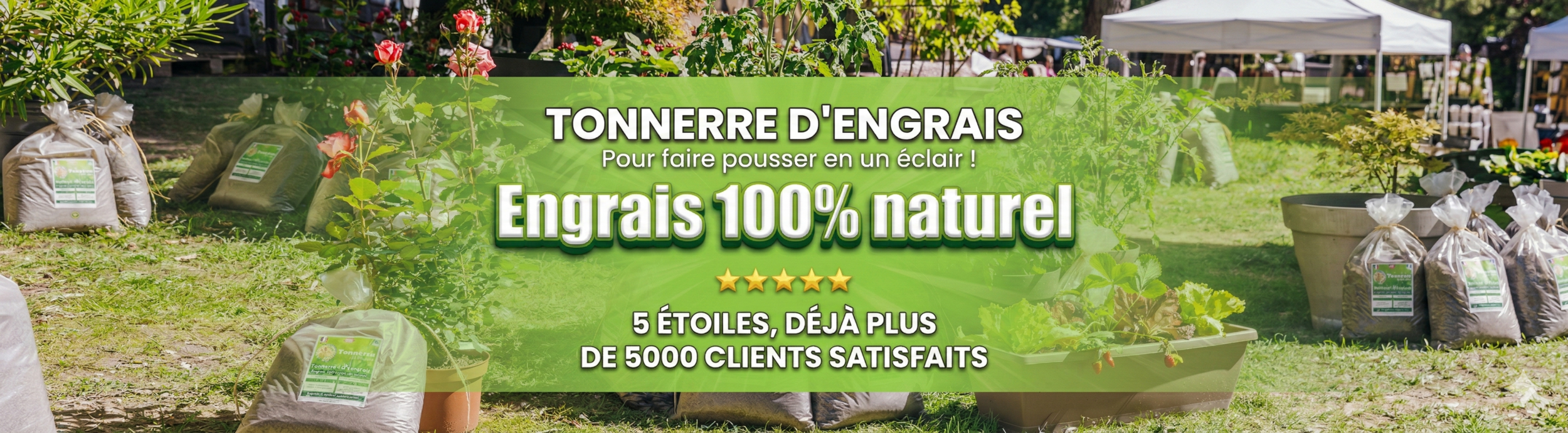 tonnerre 4