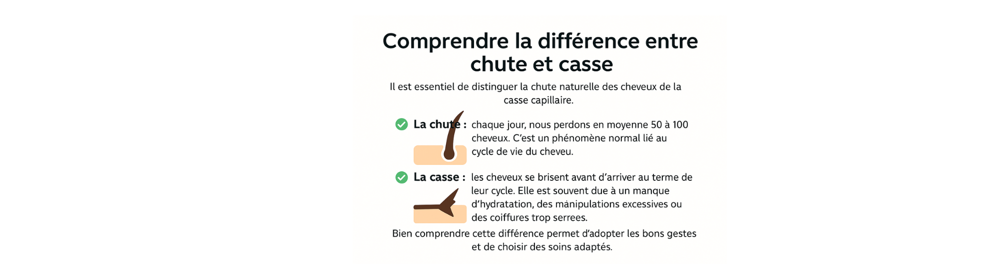 design sans titre