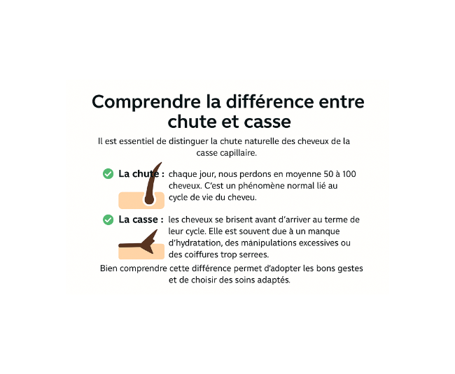 design sans titre