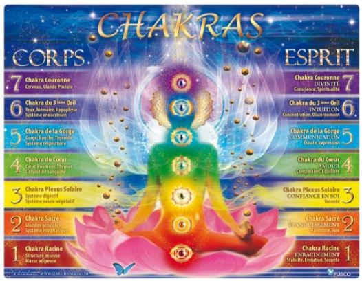 6268977050020_ETOILEHARMONIE_PLANCHE_CHAKRAS_A