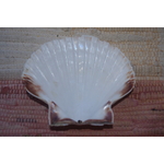 COQUILLE SAINT-JACQUES VIDE NATURELLE BRETONNE 54g 10x12 cm