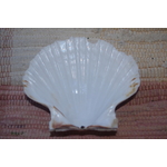 COQUILLE-SAINT-JACQUES-NATURELLE-VIDE-PROTECTION-ETOILEHARMONIE-purifier