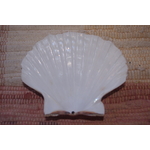 COQUILLE-SAINT-JACQUES-VIDE-ONDE-DE-FORME-ETOILEHARMONIE-RADIONIQUE-PROTECTION