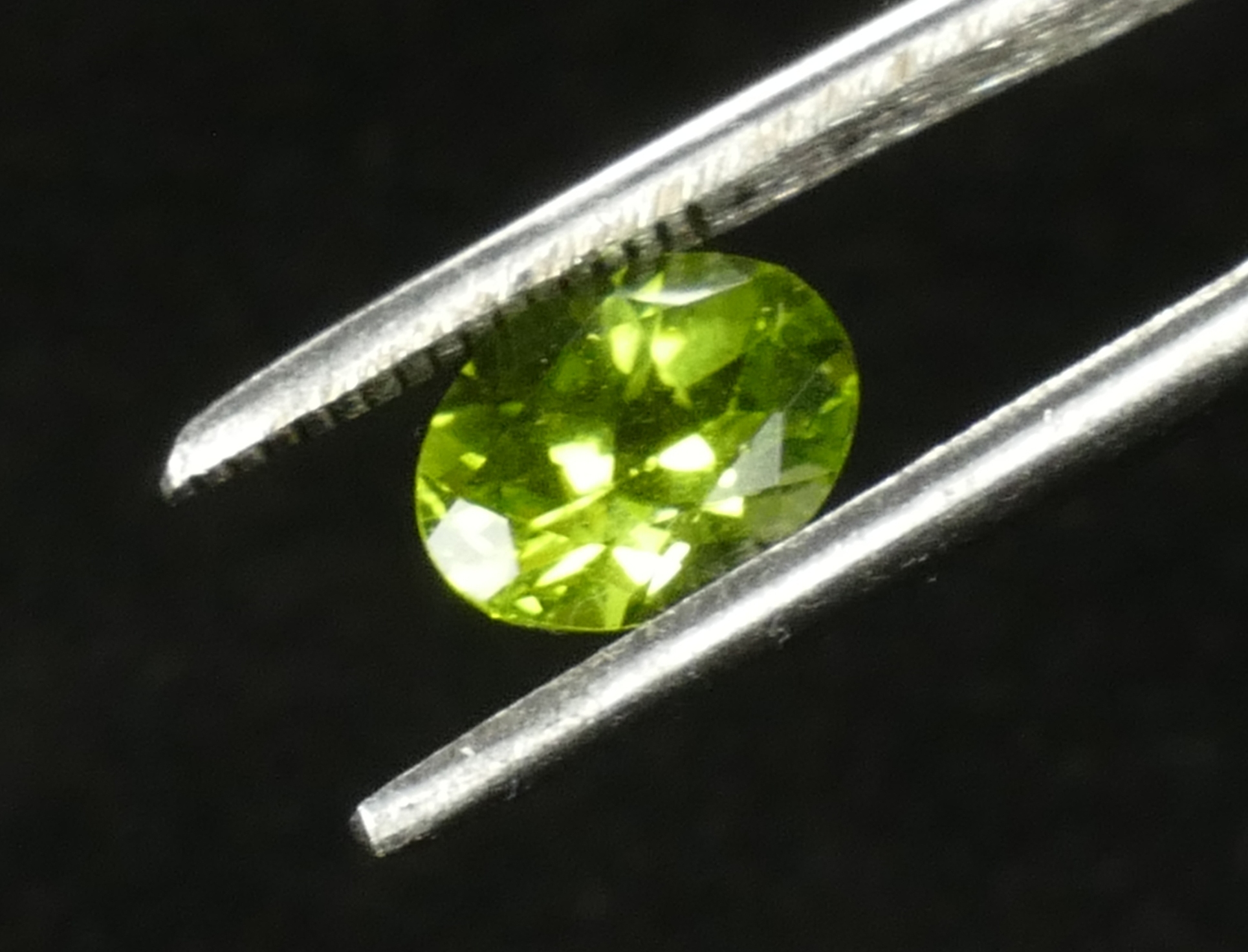 P1170175
