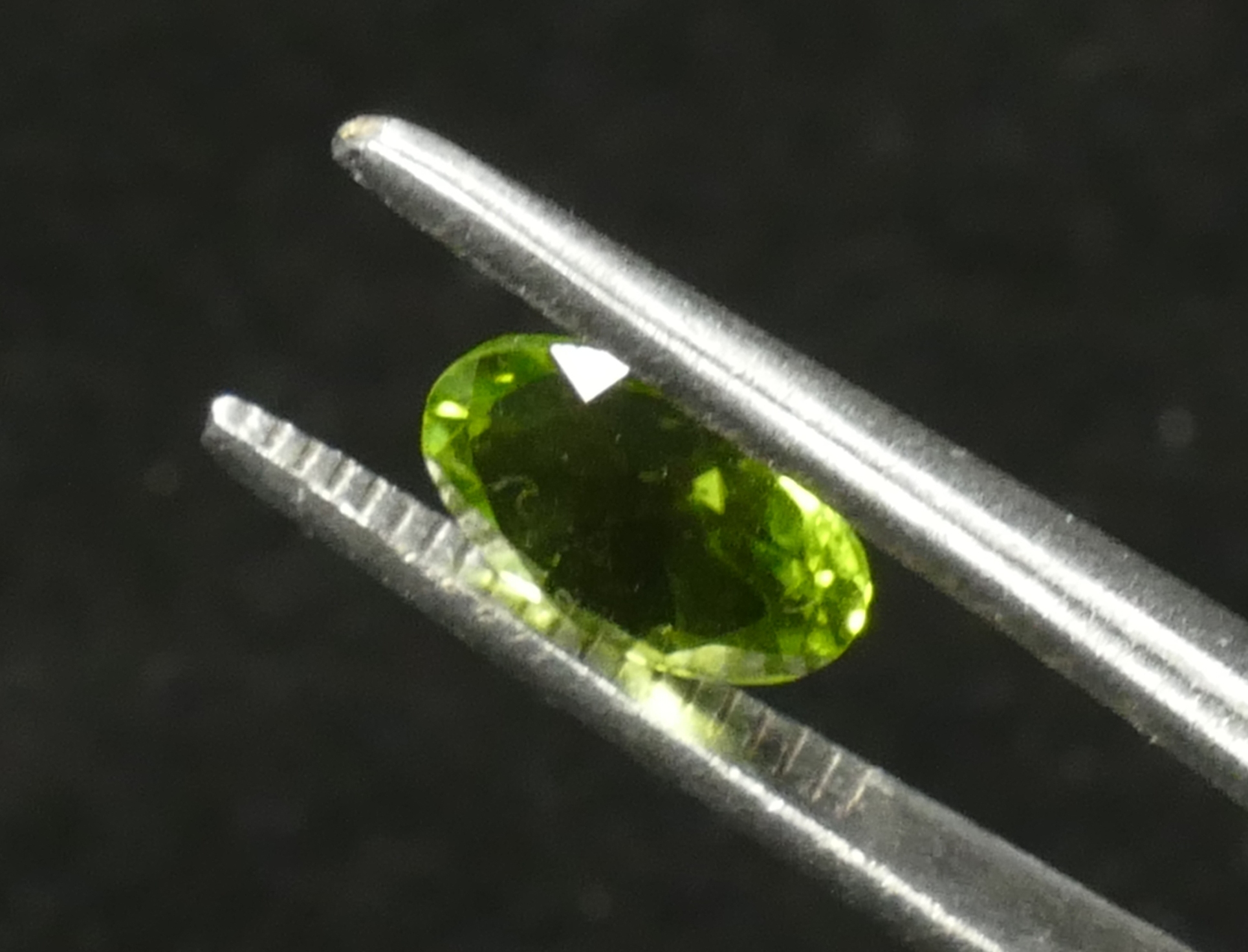 P1170178