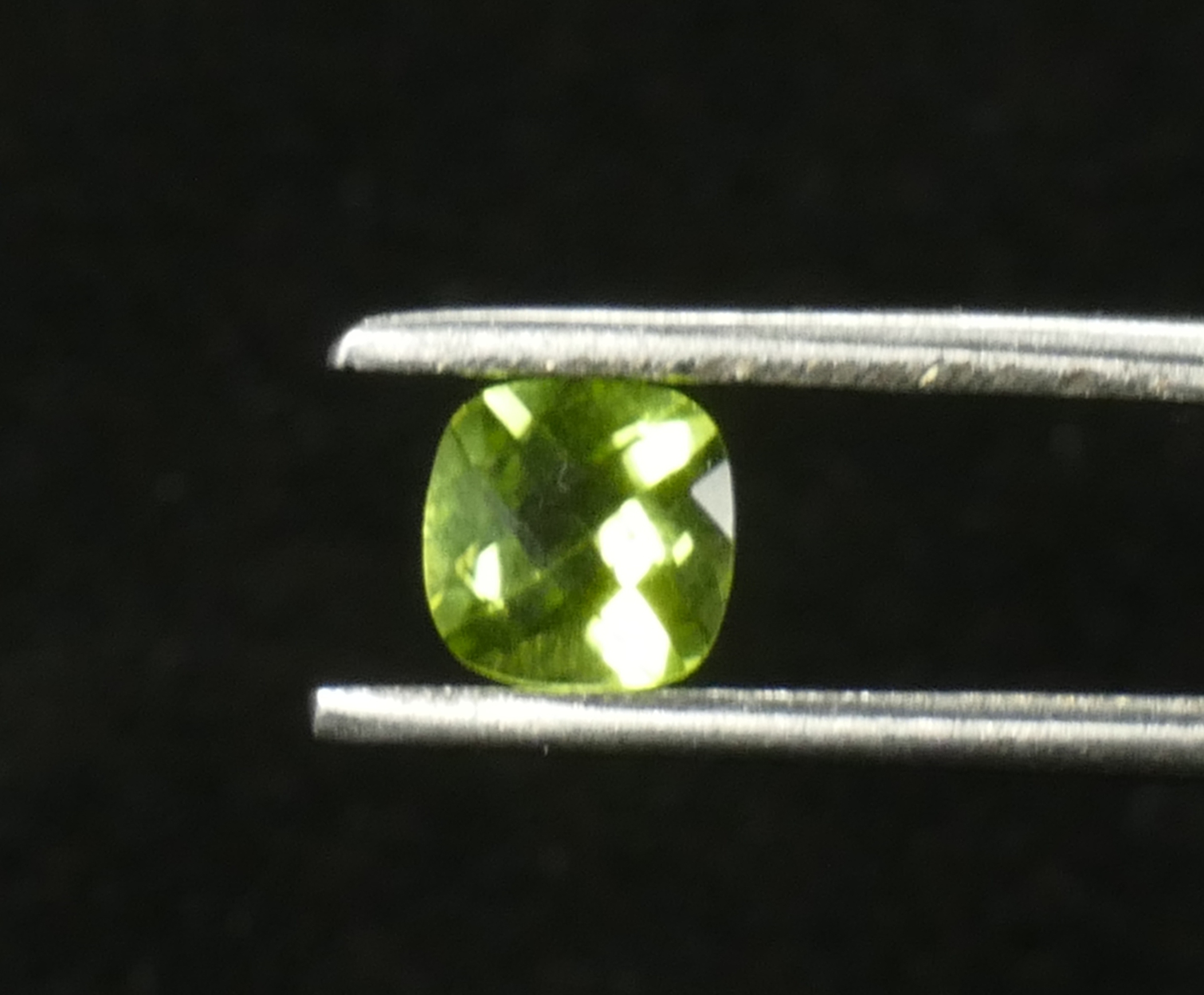 P1170205
