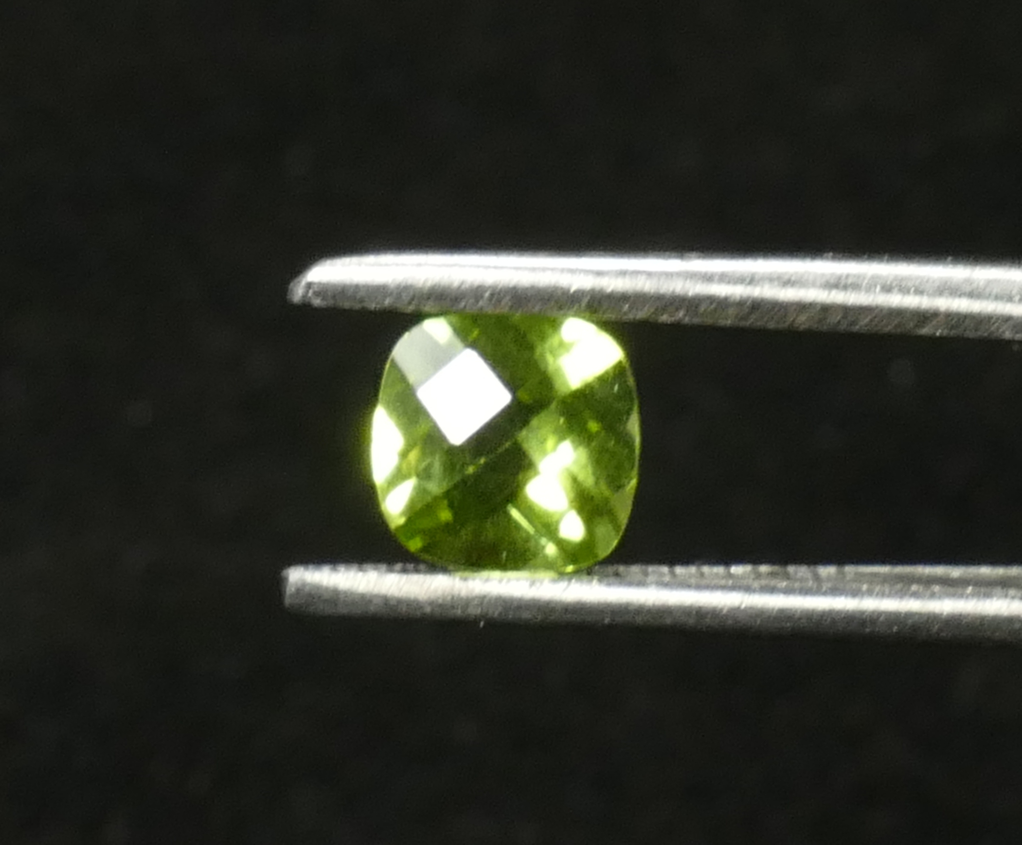 P1170204