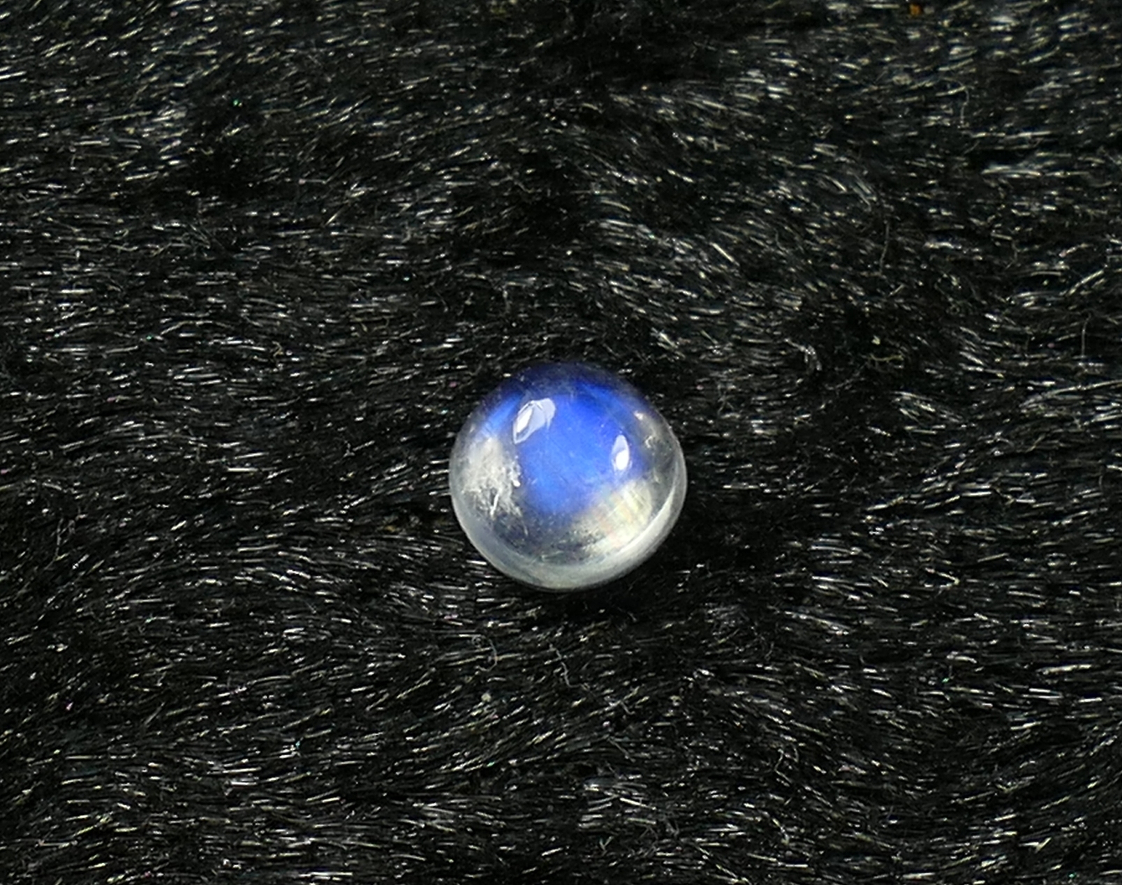 P1230555