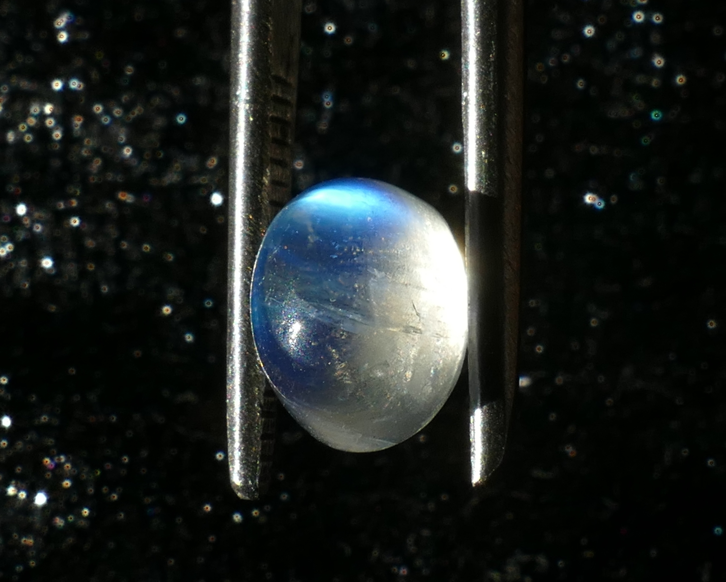P1230121