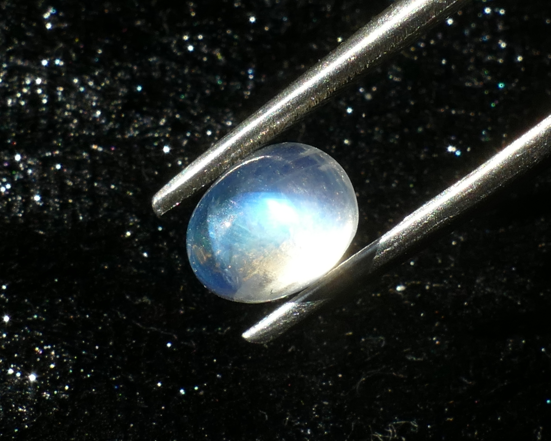 P1230123