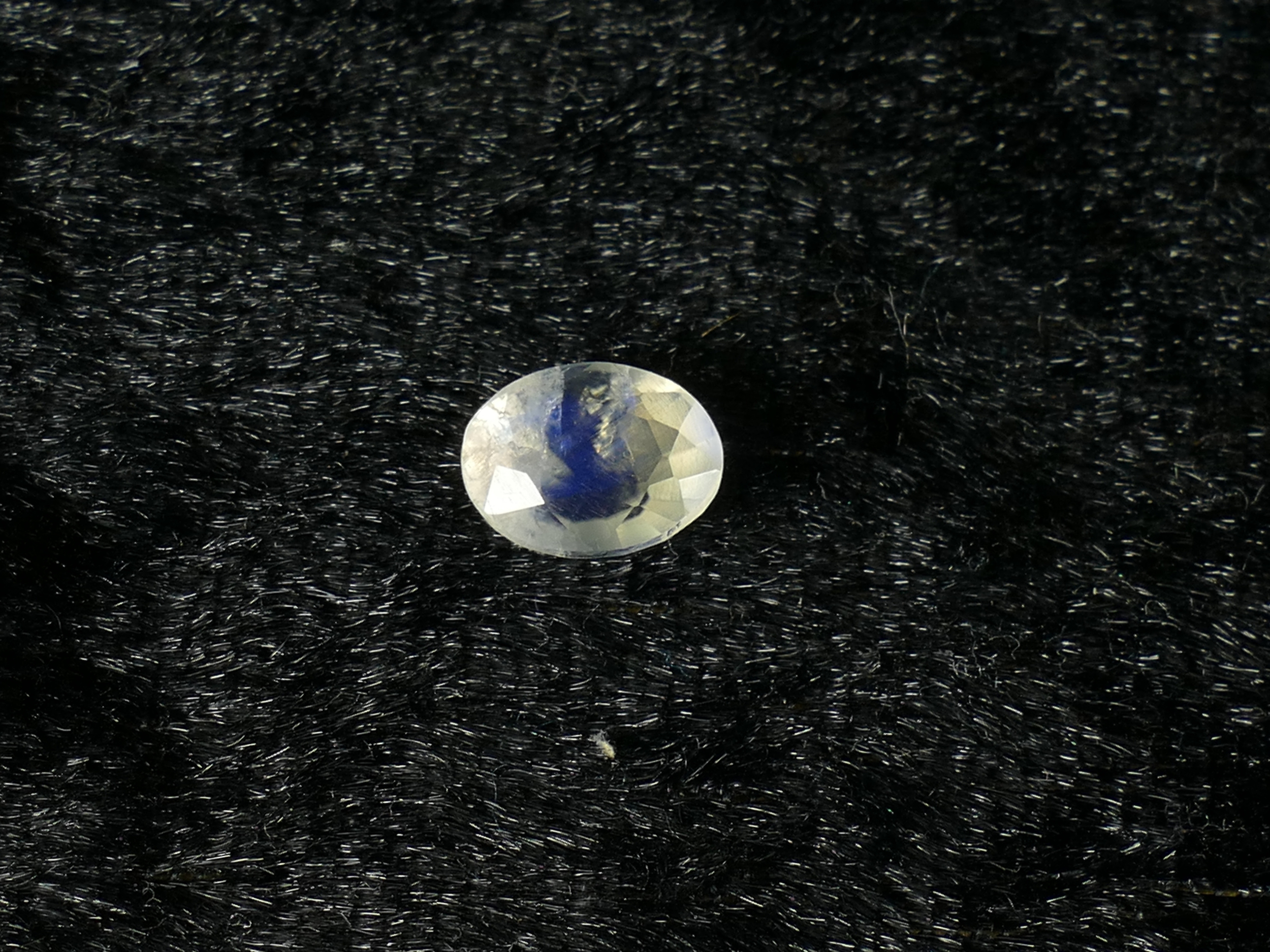 P1300169