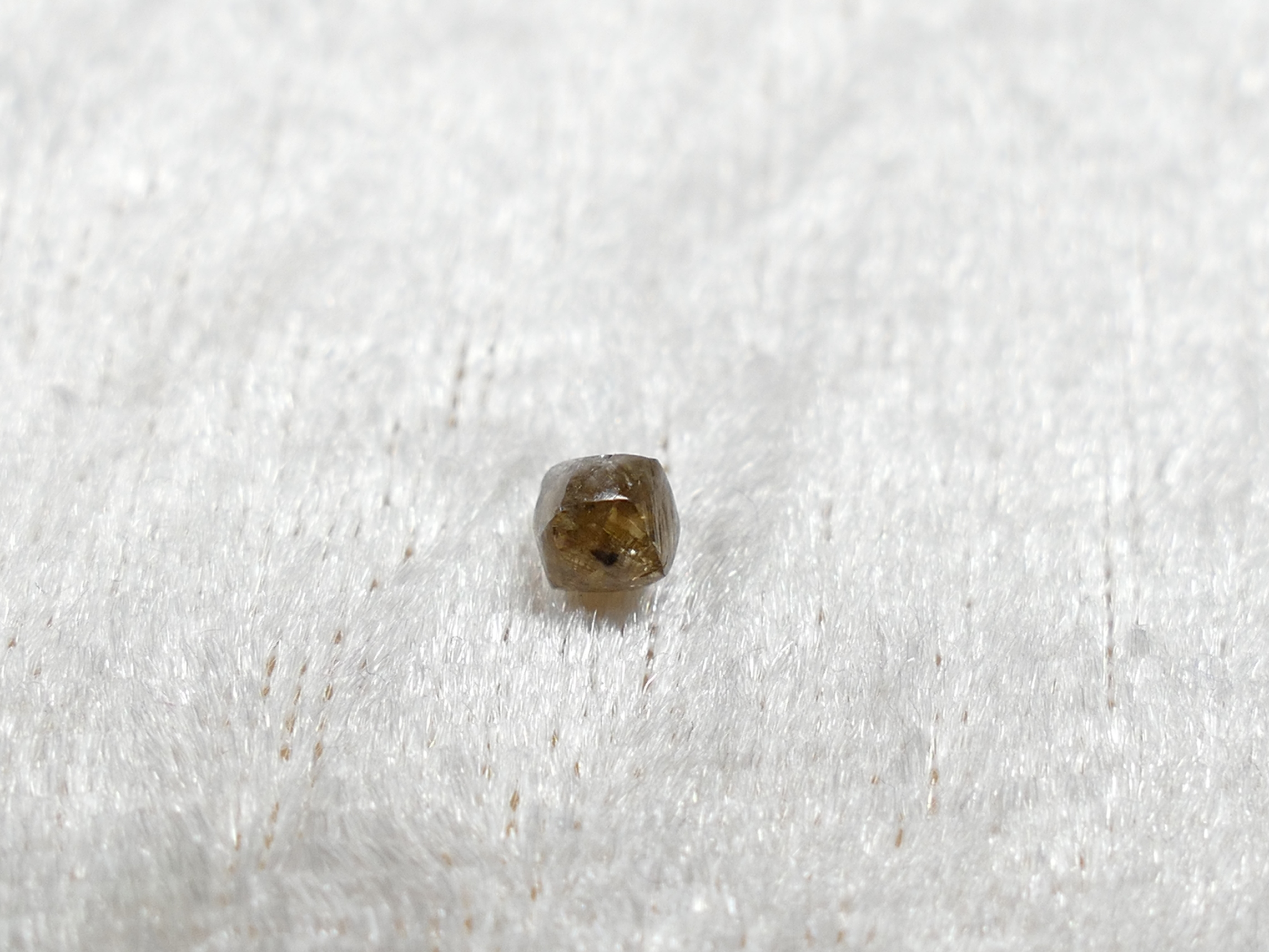 P1420567