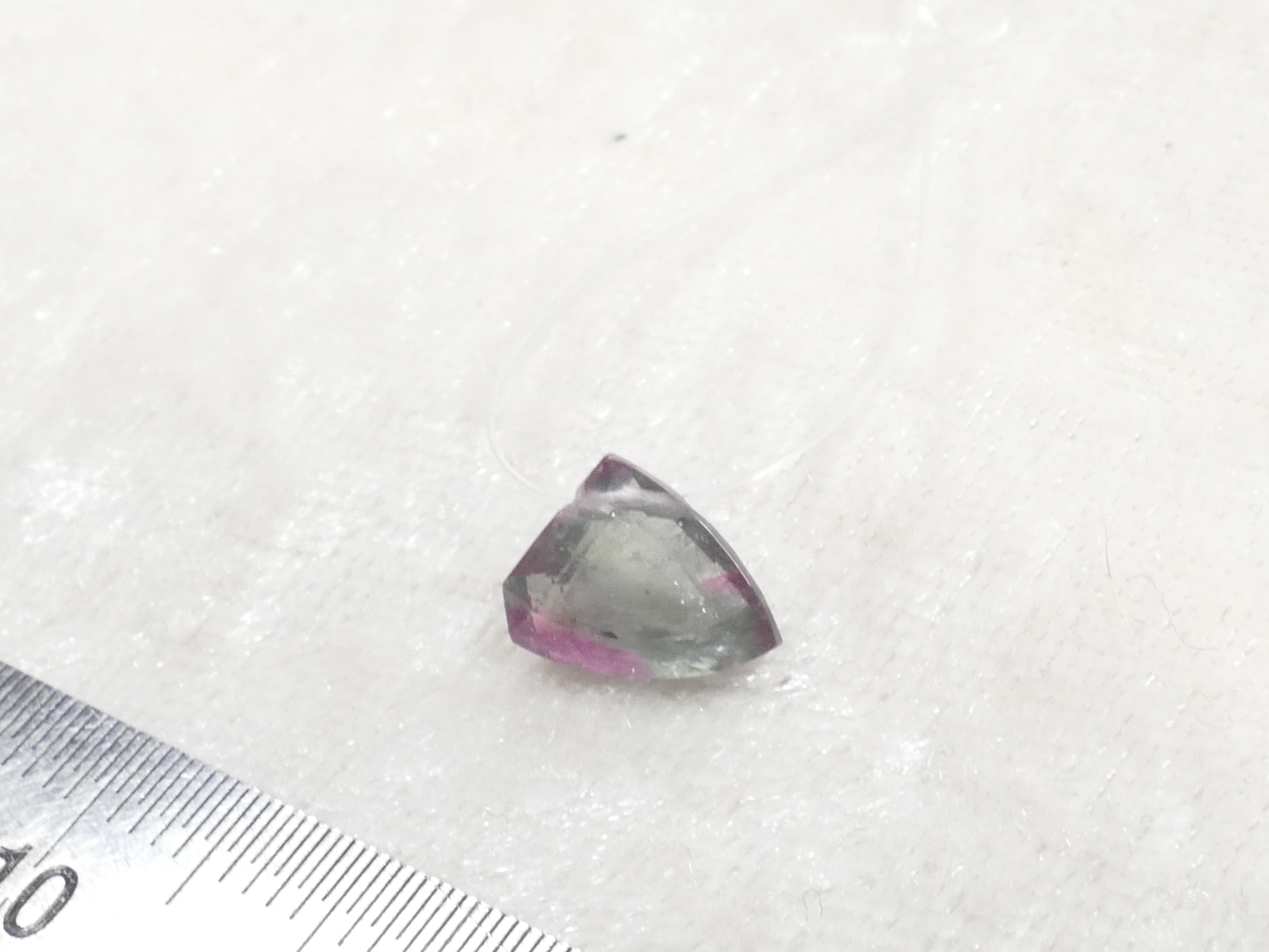 P1560832