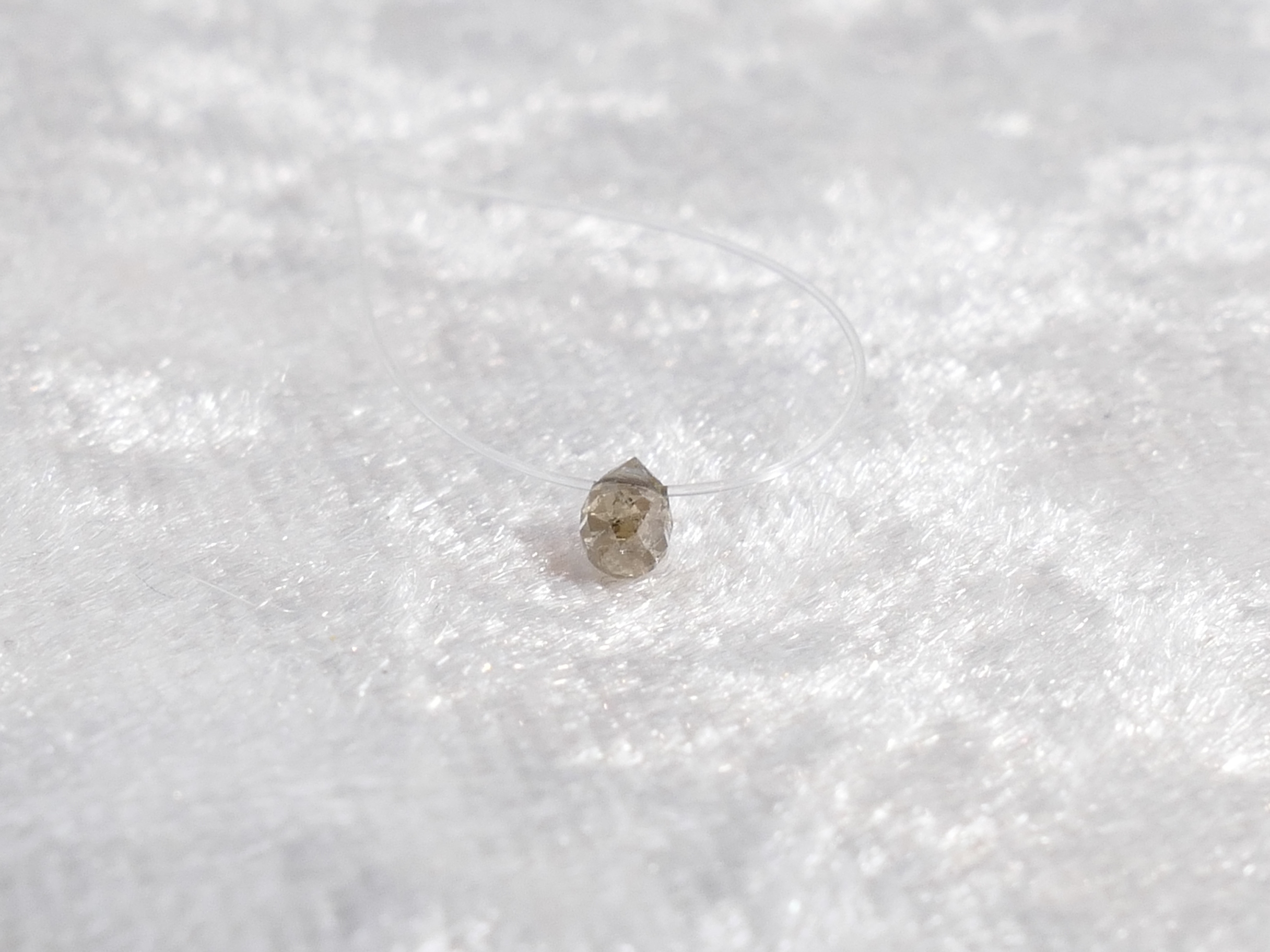 P1570524