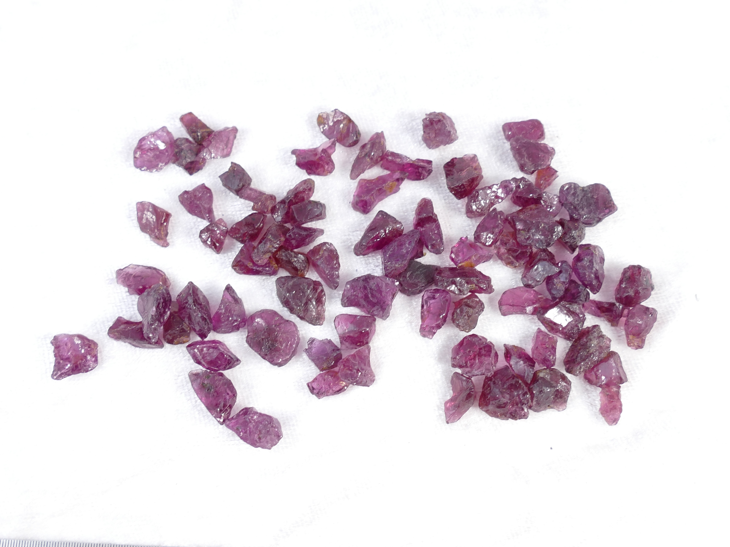 P1580120