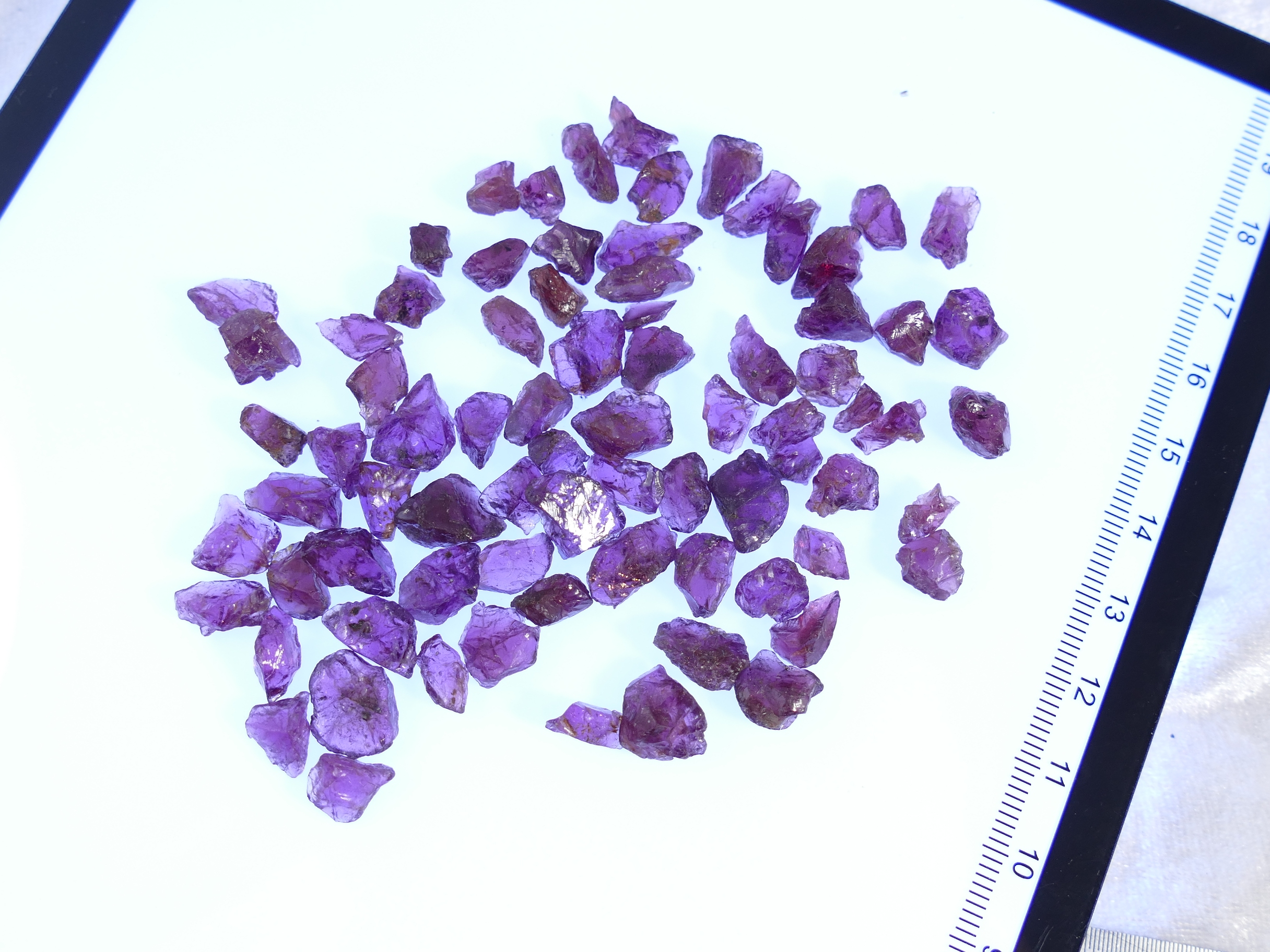 P1580119
