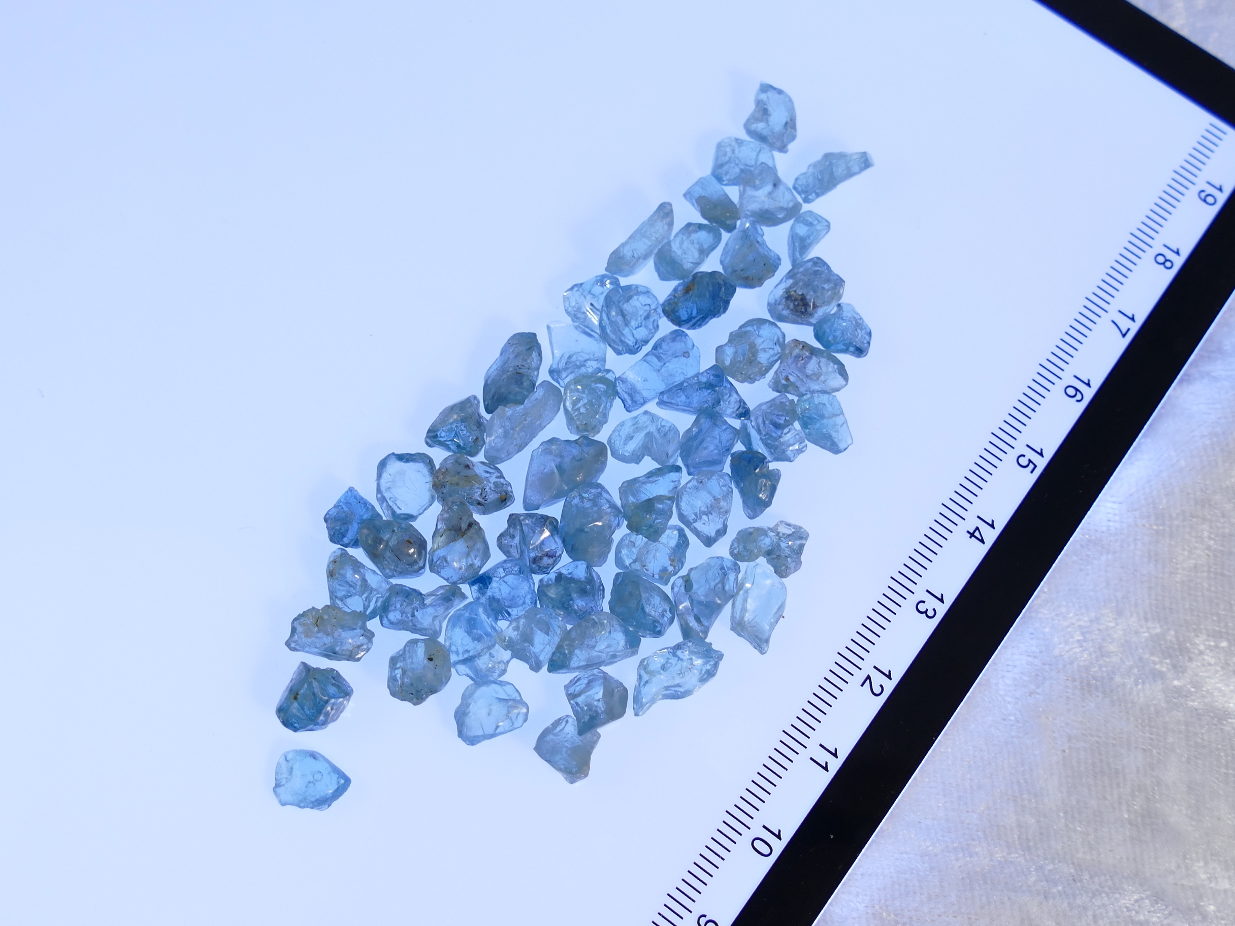 P1580161