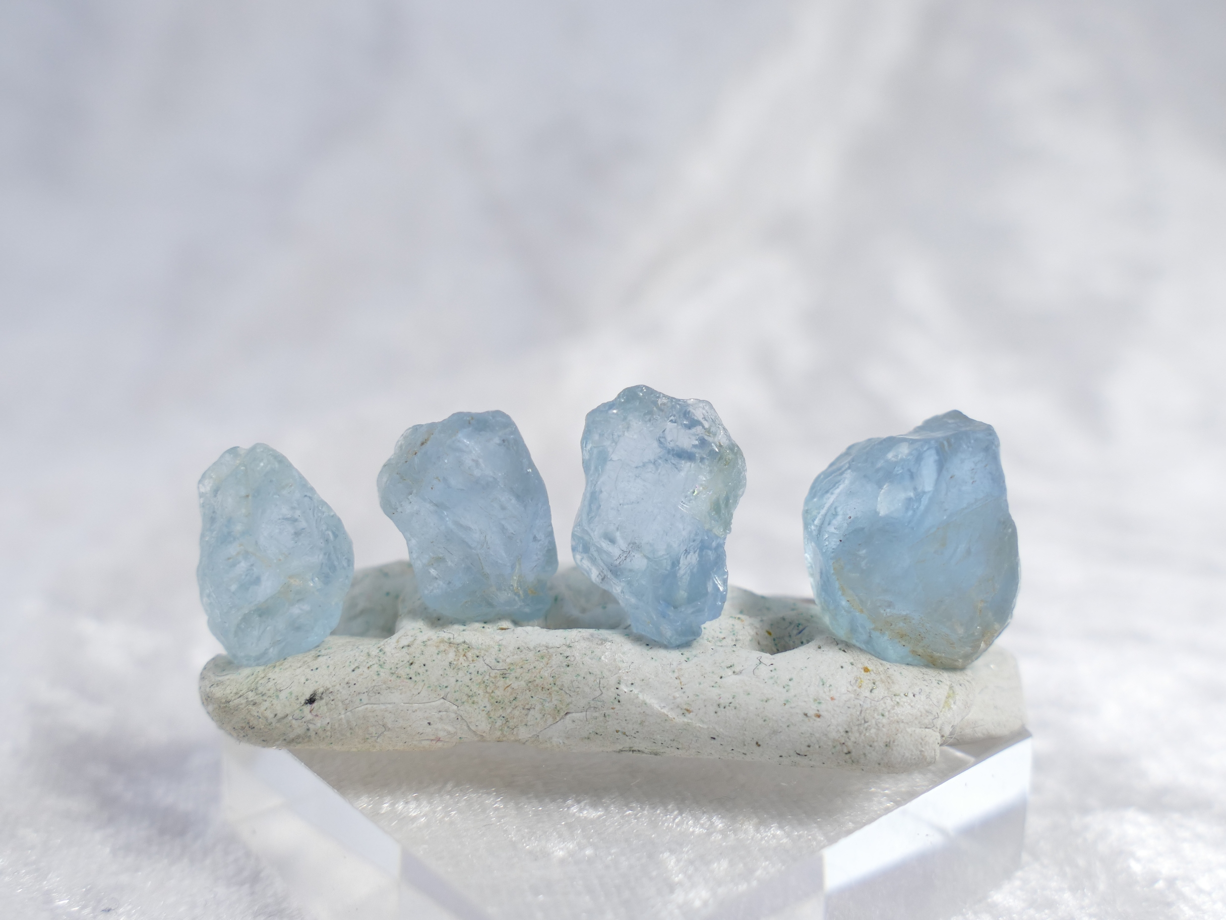 P1580281
