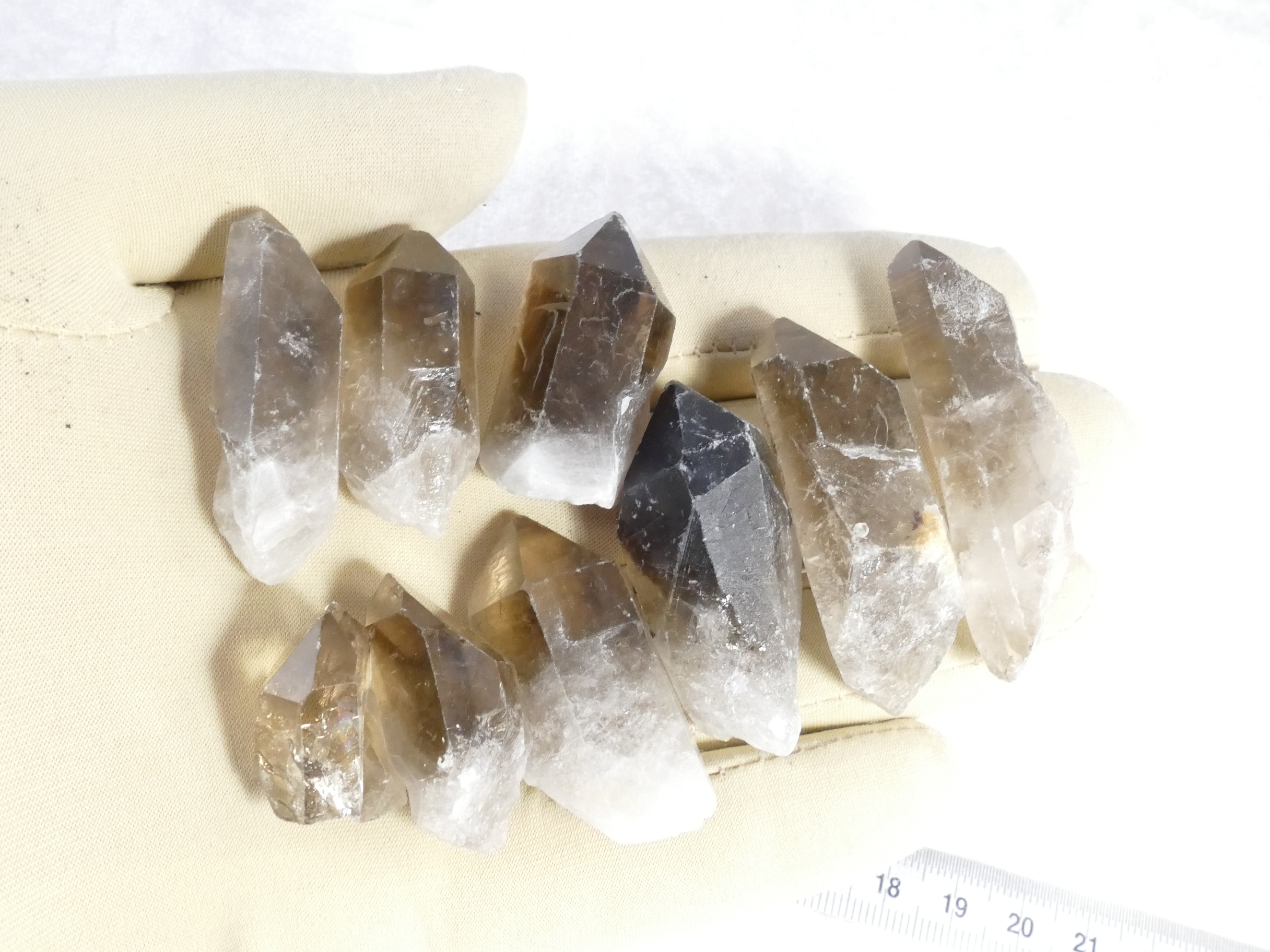P1580899