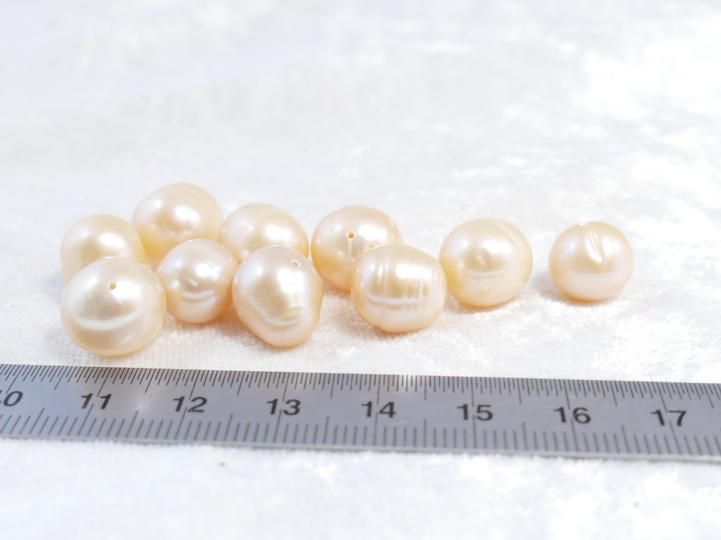 P1600012