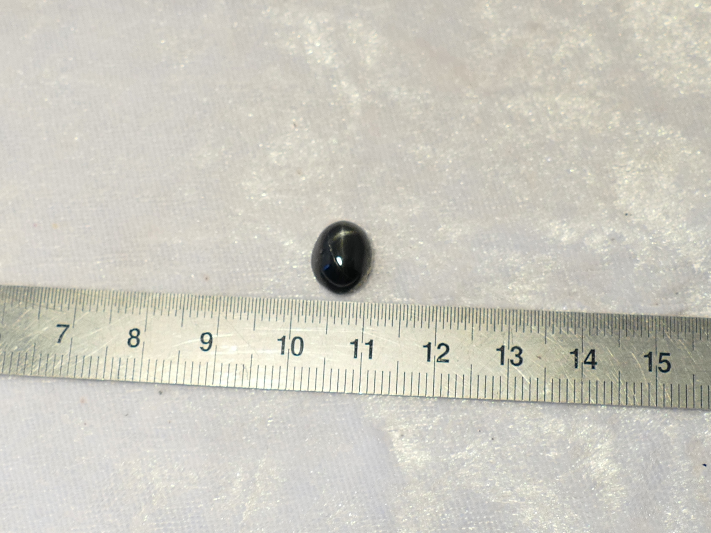 P1600160