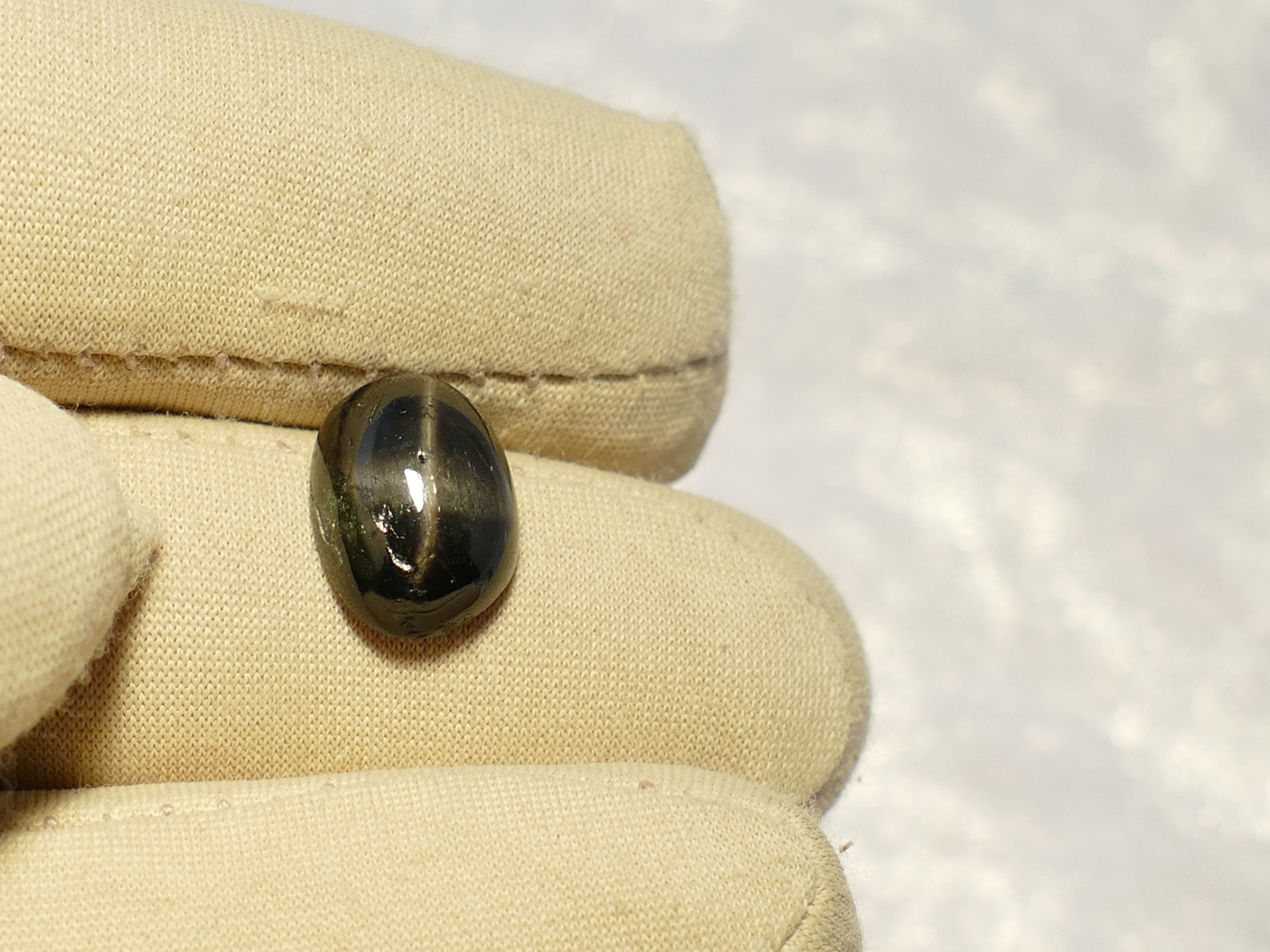 diopside étoilé naturelle cabochon ovale
