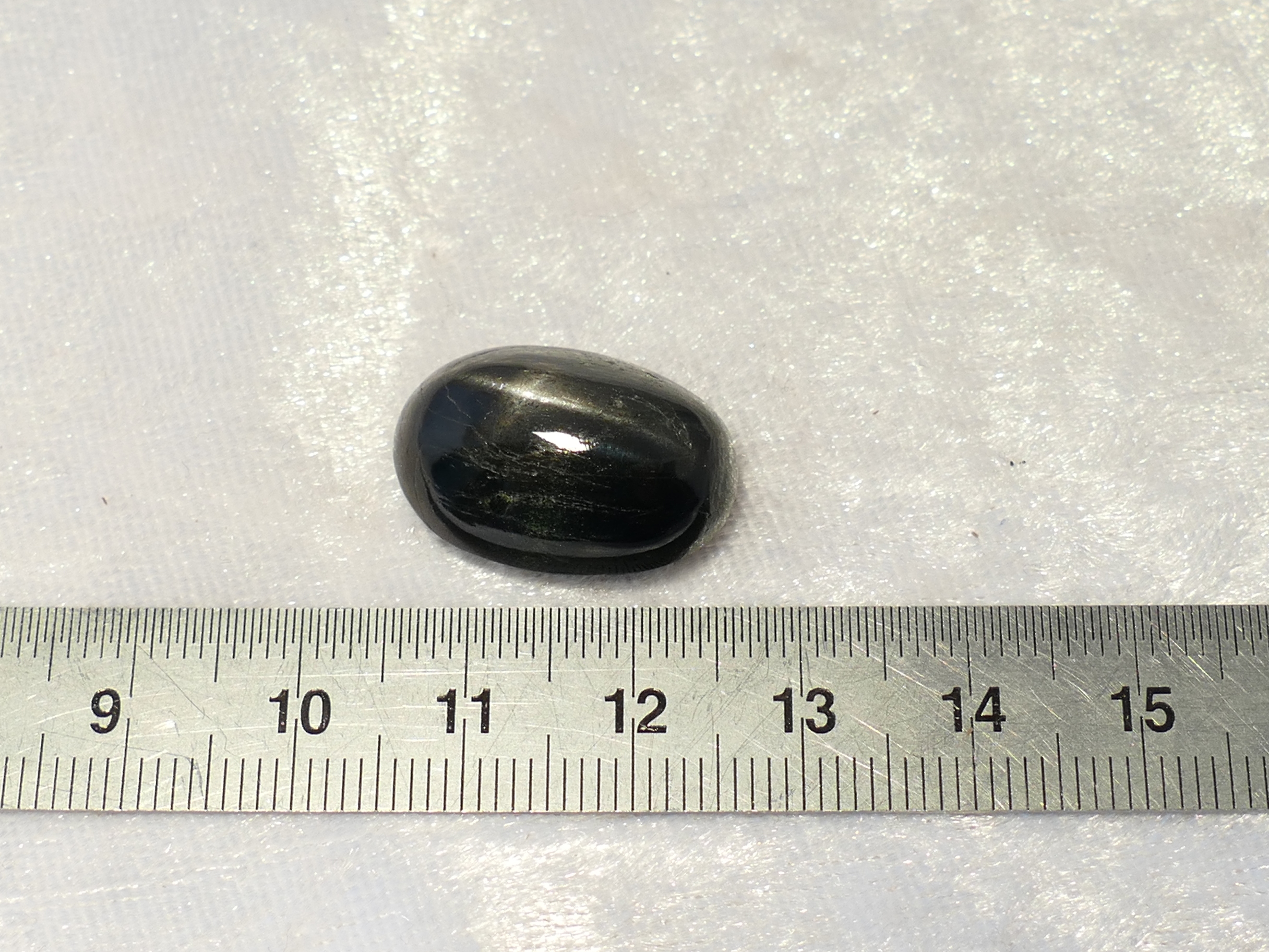 P1600204