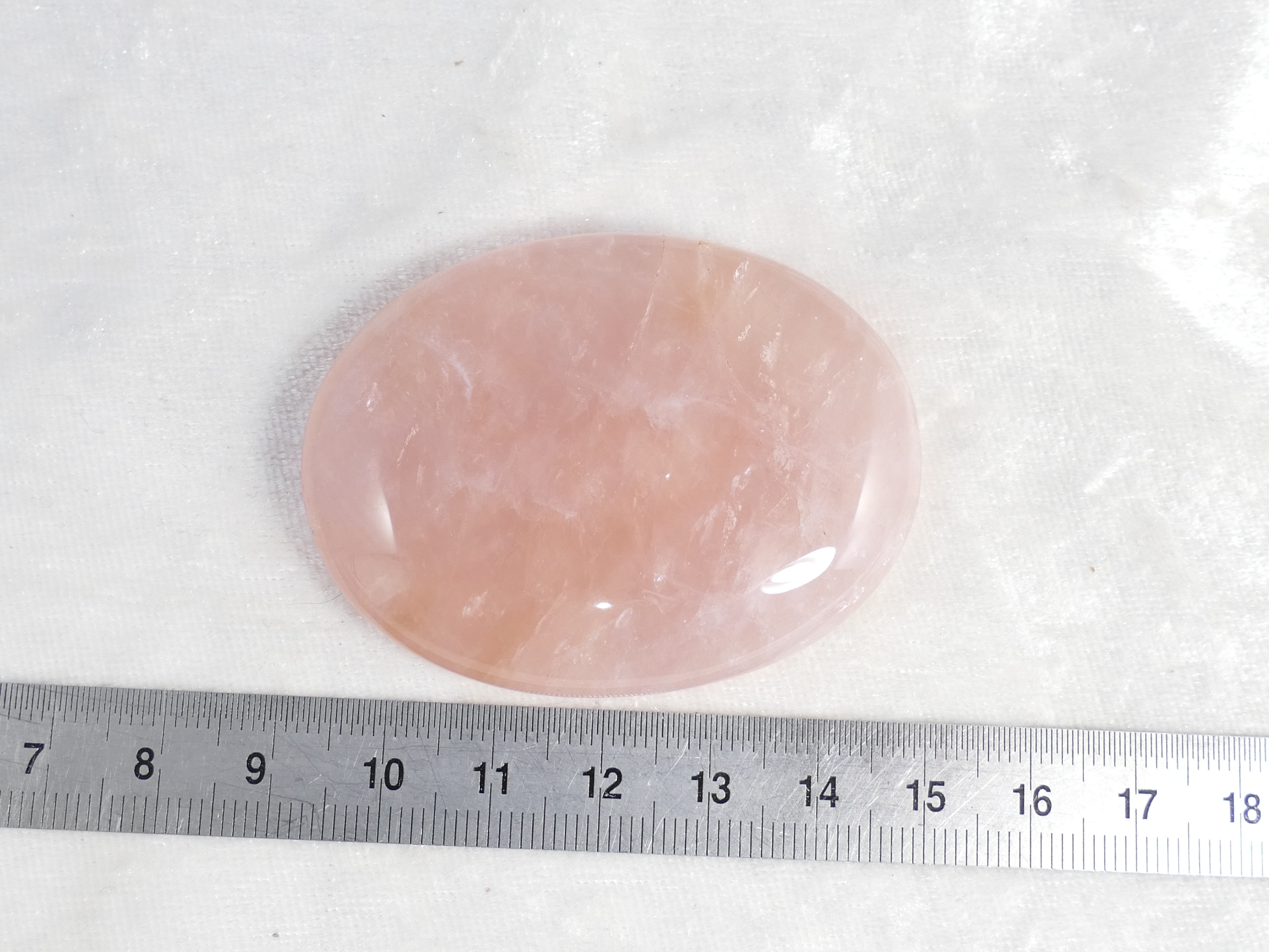 P1600817