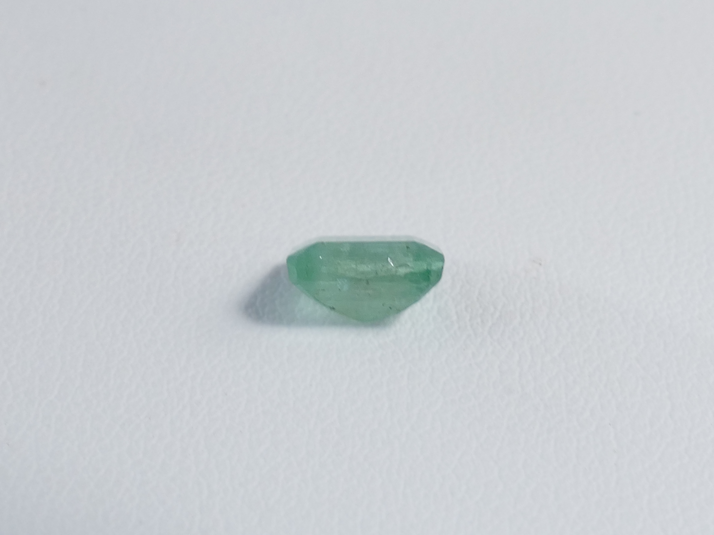 P1610560