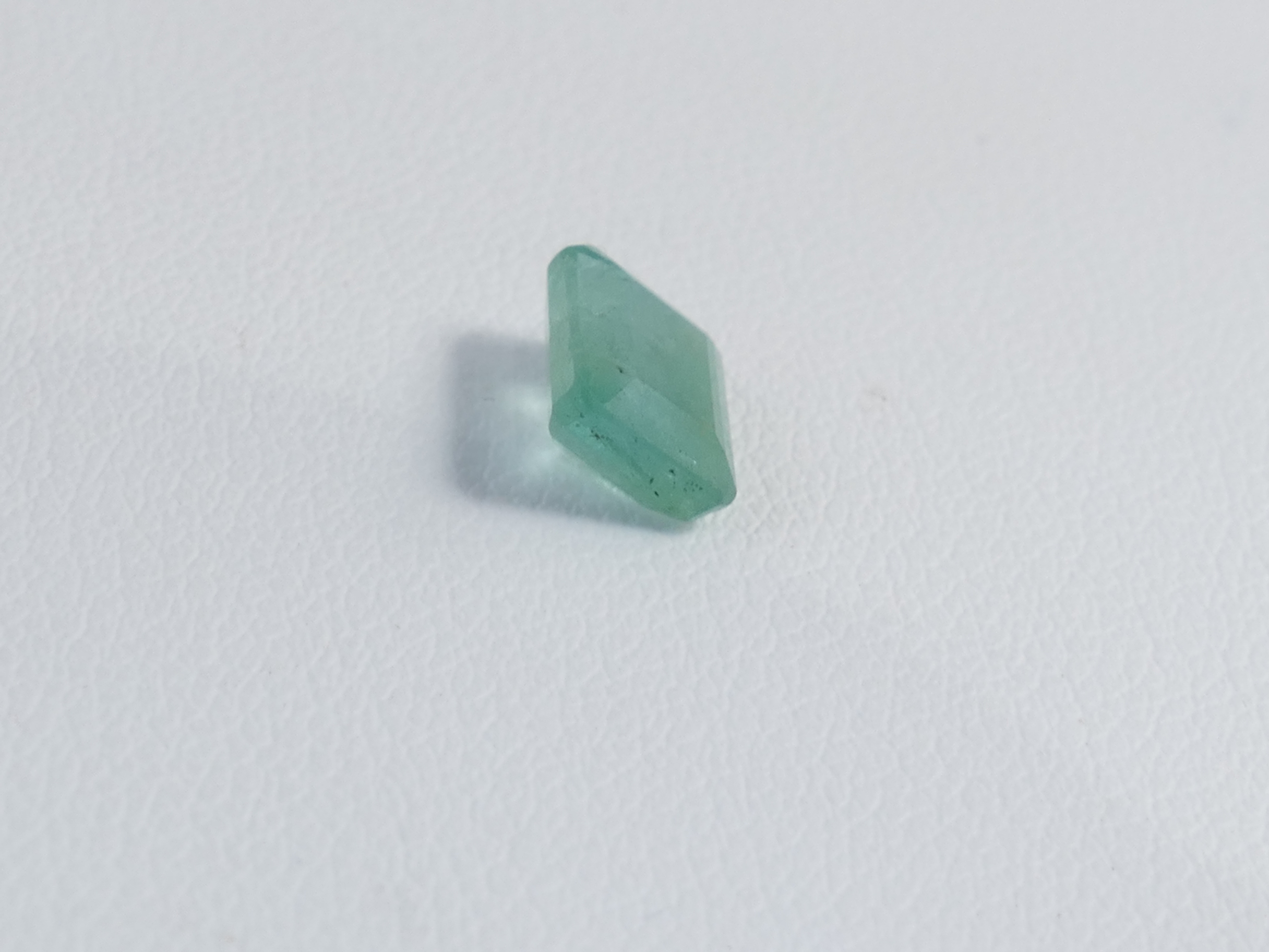 P1610559