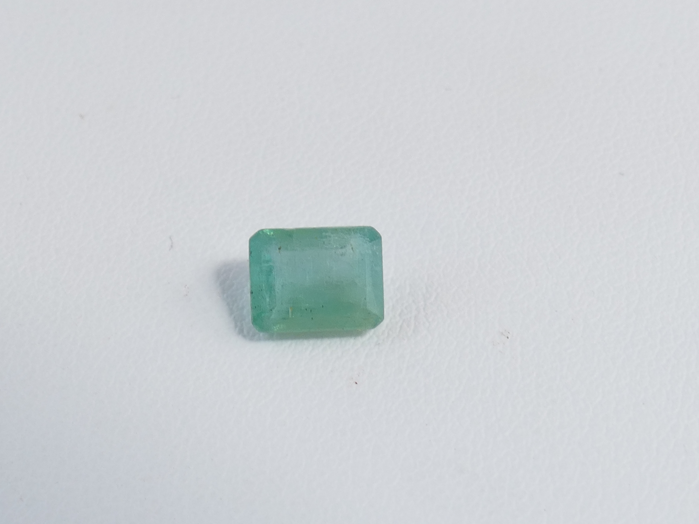 P1610557
