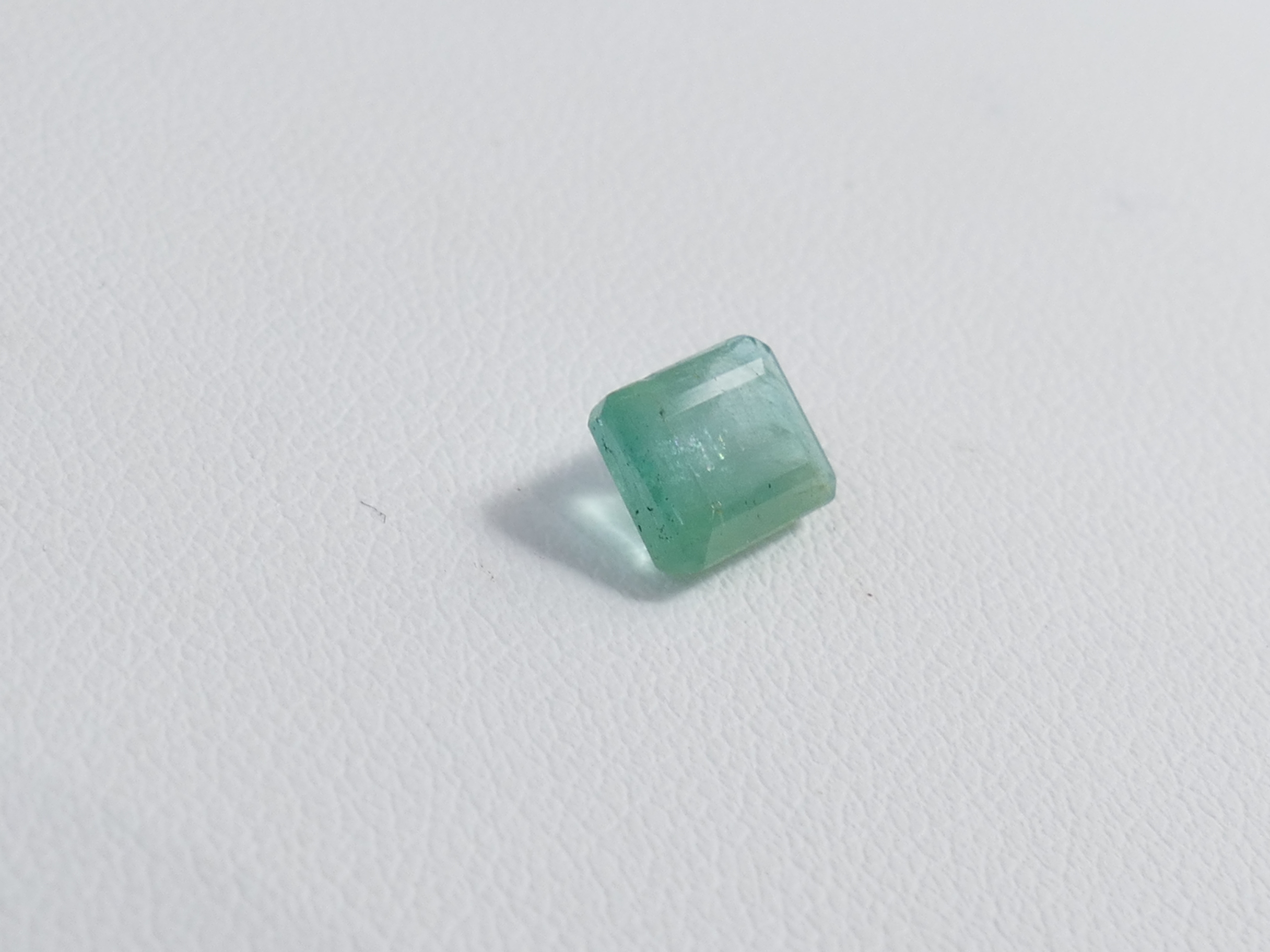 P1610558
