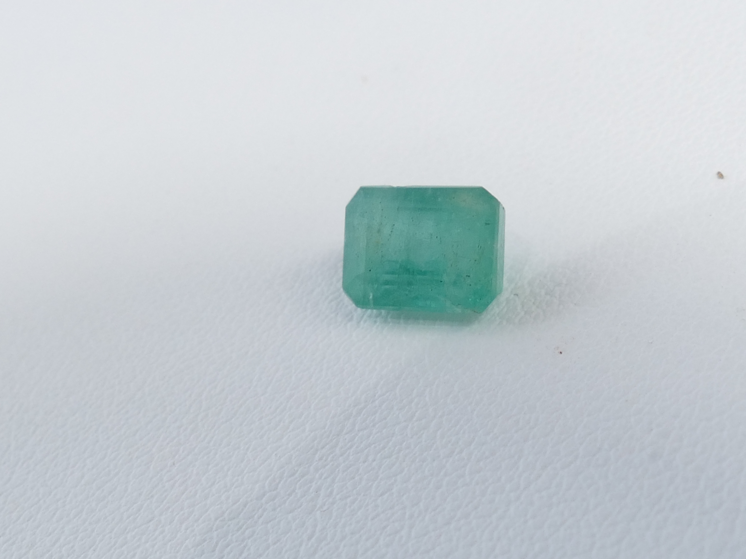 P1610566