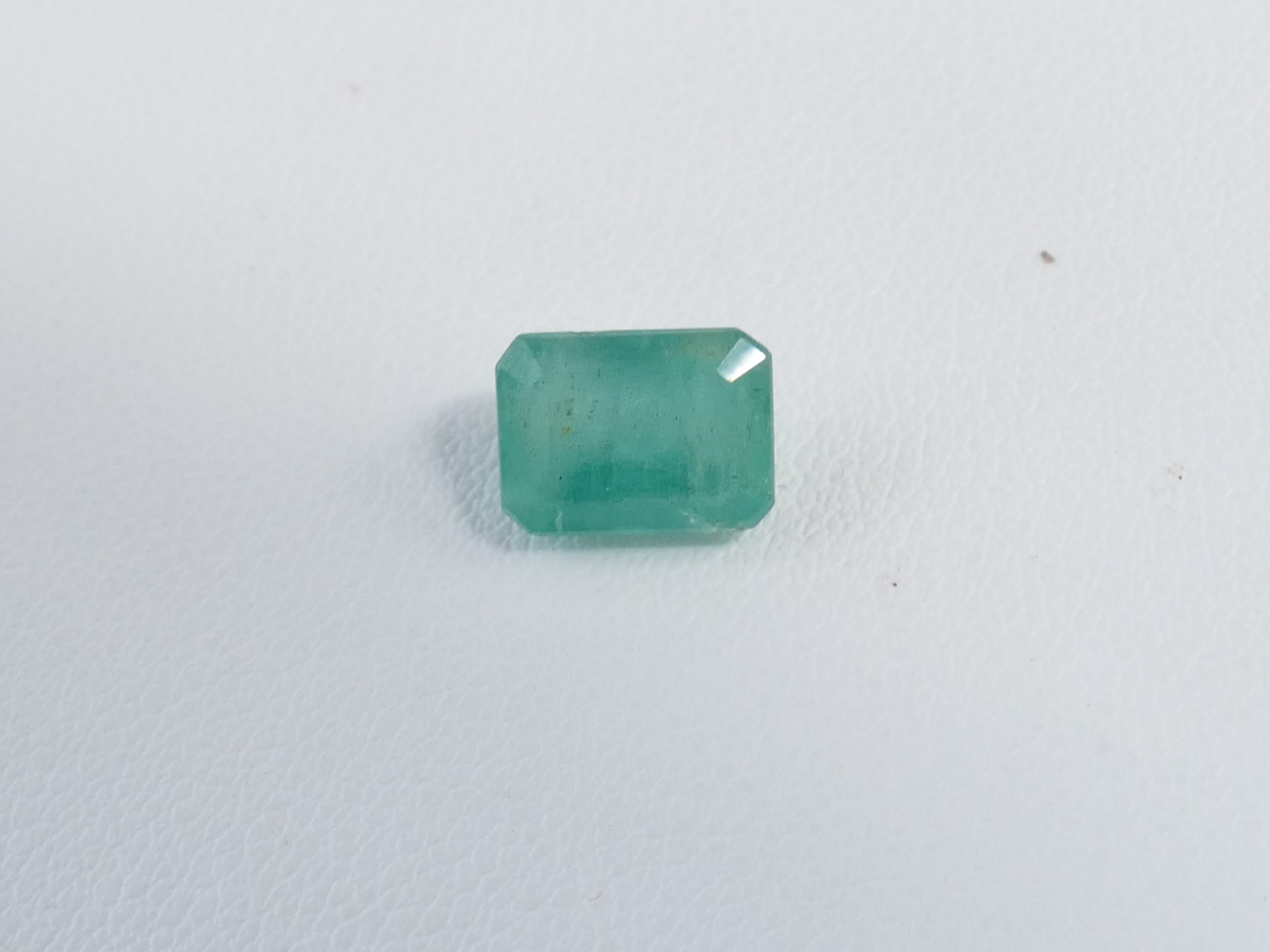 P1610567