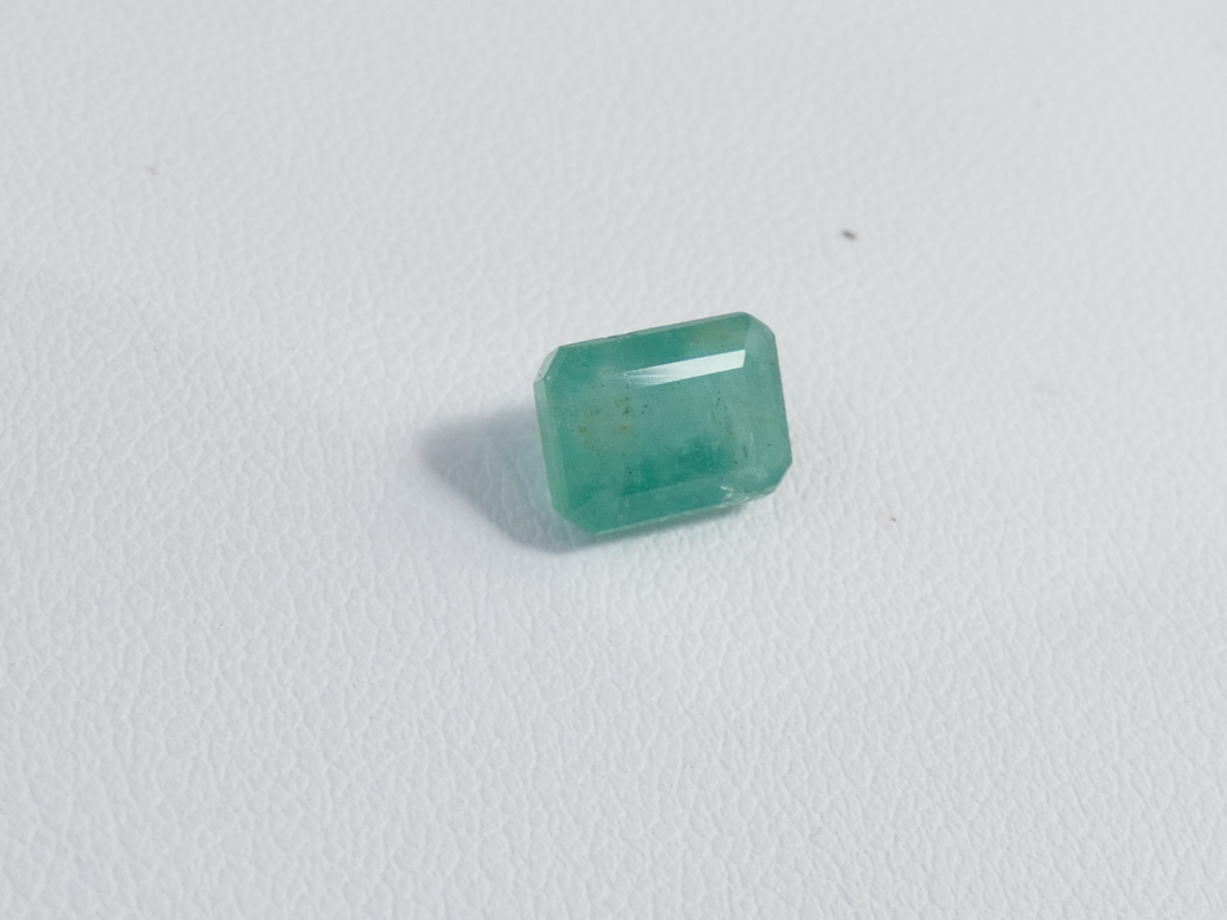 P1610565