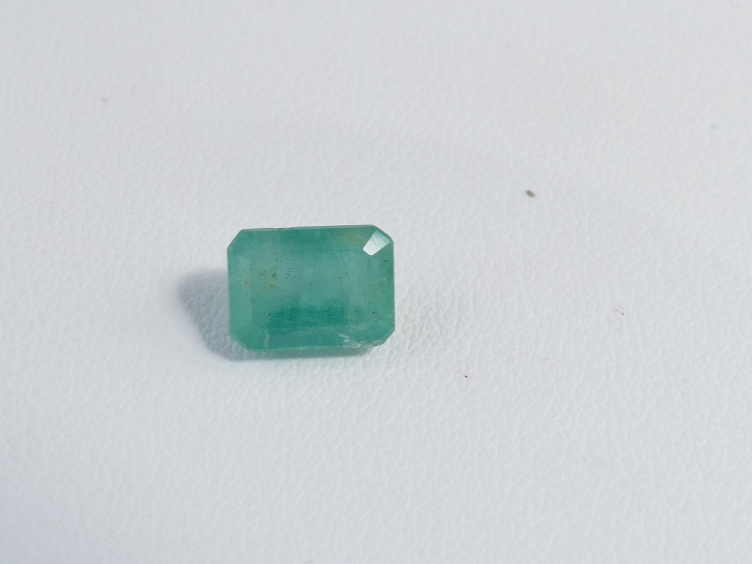P1610564